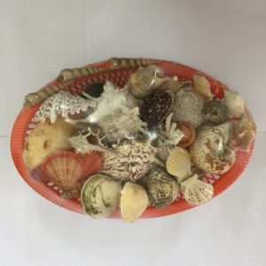 Seashell Basket (X Large)
