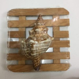 Wall Lamp (Horse Conch Shells)