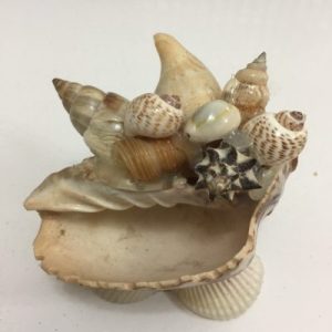 Seashells Trinket Tray (Decor Noble Volute)