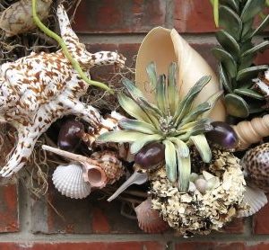 Shells Arts & Crafts