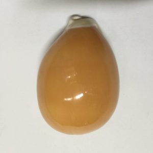 Category Core Seashells