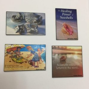 Shells Motivational Magnets(Set A)