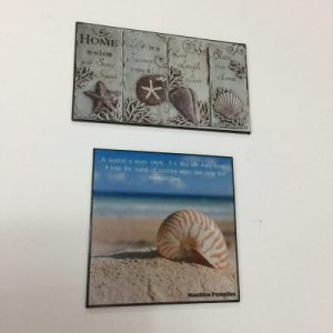 Shells Motivational Magnets(Set C)