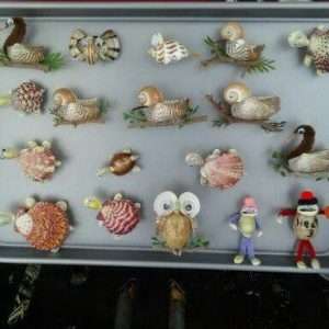 Shells Magnets/Stick IT