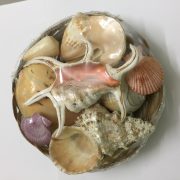 Shells Basket L