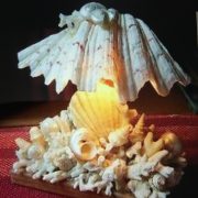 Table Lamp(Clam) Design B