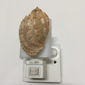 NightLite Lamp(Major Harp)211