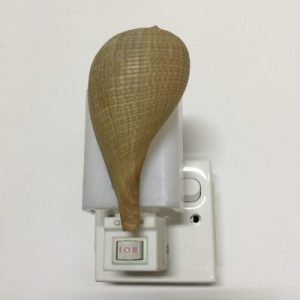 NightLite Lamp(Grateful Fig)117