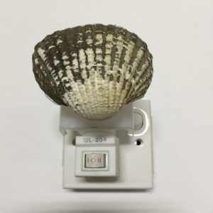NightLite Lamp(Hooded Ark Clam)293