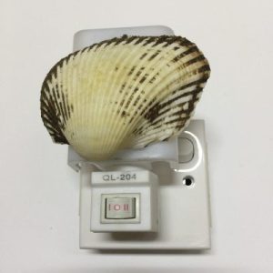 NightLite Lamp(I Ark Clam)293