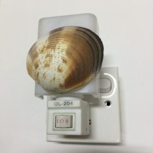 NightLite Lamp(Purpura Venus Clam)146