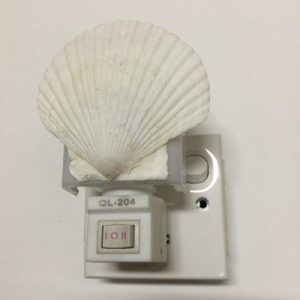 NightLite Lamp(Yesso Scallop)306