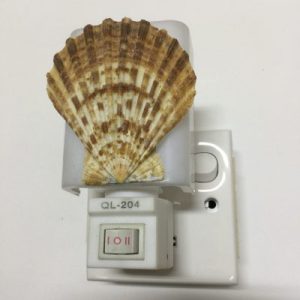 NightLite Lamp(Radula Scallop)307