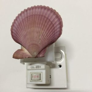 NightLite Lamp(Noble Scallop)309