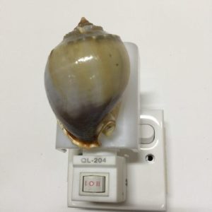 NightLite Lamp(Grey Bonnet)111