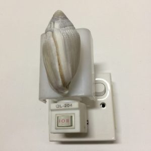 NightLite Lamp(Midas Shell)282