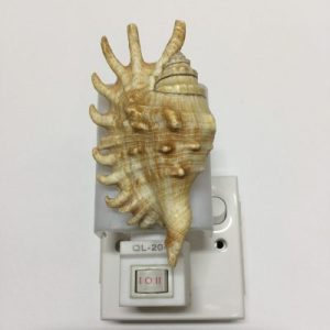 NightLite Lamp(Millepede Spider Conch)81