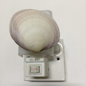 NightLite Lamp(Lucina Clam)321