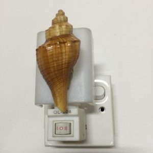 NightLite Lamp(Ternatus Fusus)176