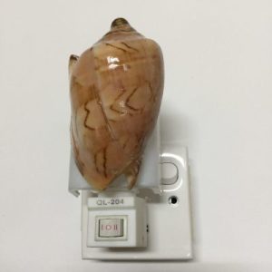 NightLite Lamp(Noble Volute)82