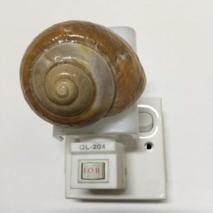 NightLite Lamp(Ryotta Snail)162