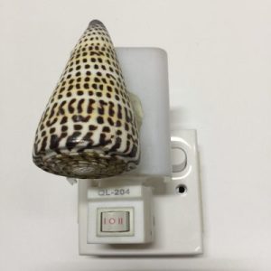 NightLite Lamp(Lettered Cone)249