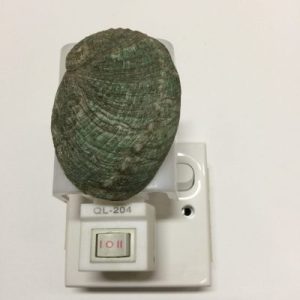 NightLite Lamp(Japanese Abalones)102