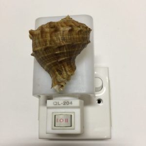 NightLite Lamp(Turnip Rapa)149