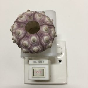 NightLite Lamp(Pencil Urchins)