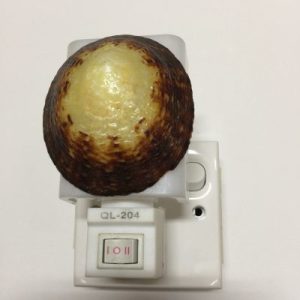 NightLite Lamp(Turtle Limpet)31