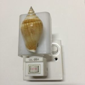 NightLite Lamp(Pearl Conch)77