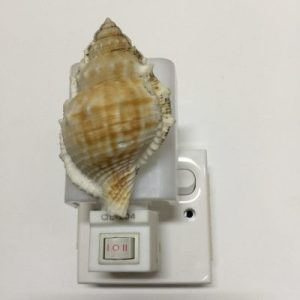 NightLite Lamp(Frog Shell)128