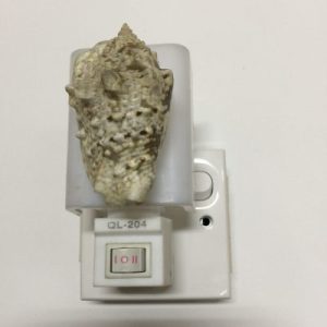 NightLite Lamp(Silver Conch)80