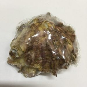 Category Core Seashells