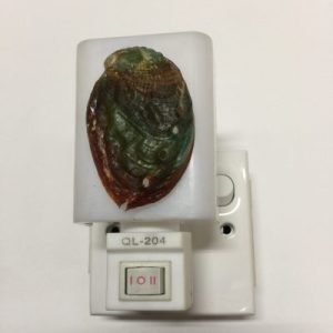 NightLite Lamp(Japanese Abalone)19