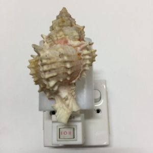 NightLite Lamp(Pink Murex)135