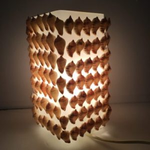 Designer Lamp( Marginate Conch)