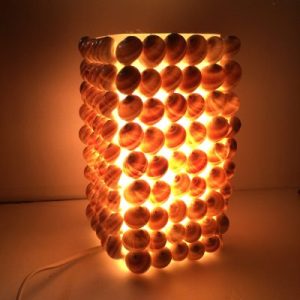 Designer Lamp( Calf Moon)