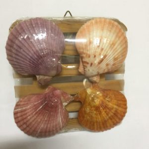 Size 6"x6"