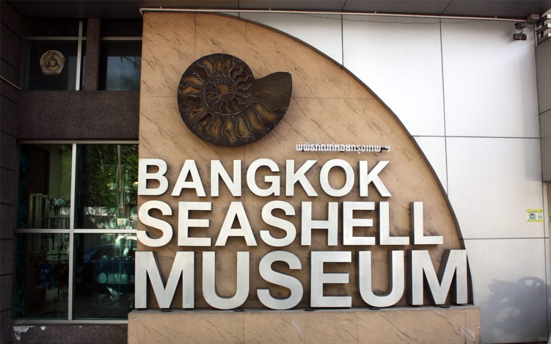 Bangkok Seashells Museum(Nov2015)