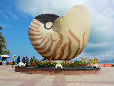 Giant Nautilus In China