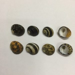 Size 0-1”