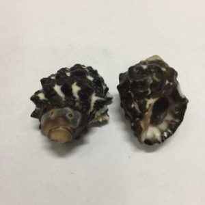 Size 0-1”