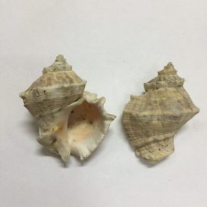 Size 0-1,1-2,2-3