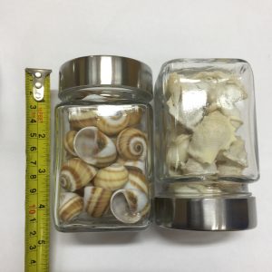 Shells Size 0-1” Qty:20-30pcs (Bottle)