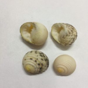 Size 0-1”