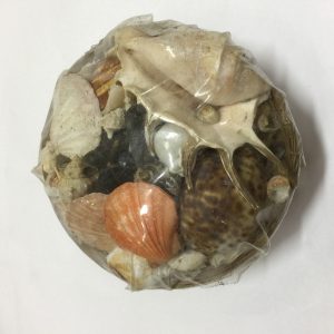 Shells Basket Medium Mix(8”)