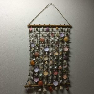 Contents: 104 Shells(8x13)