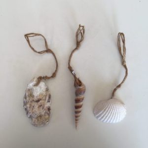 Shells Bookmarks(Set B)