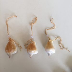 Shells Bookmarks (Strombus Turritella)
